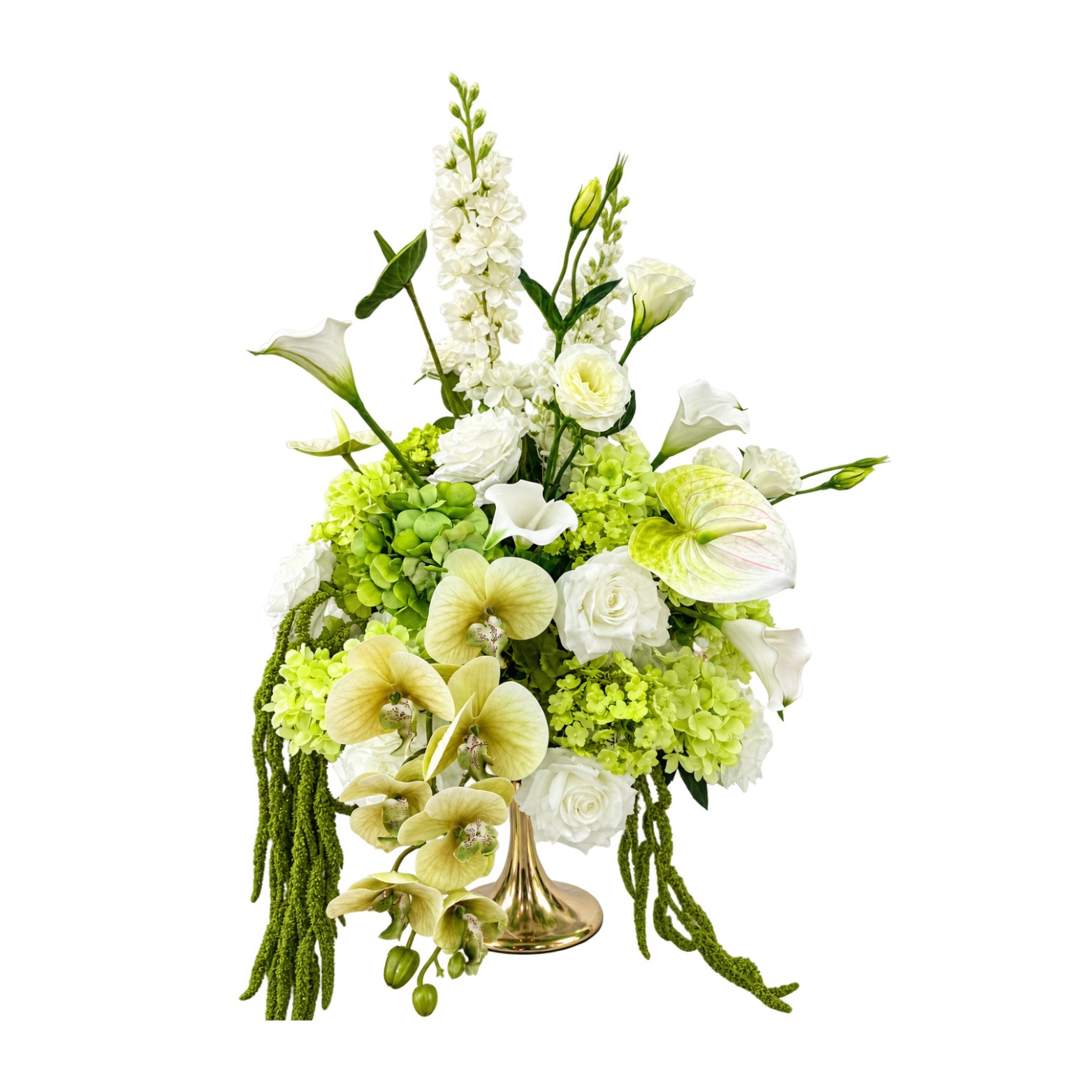 White and Green